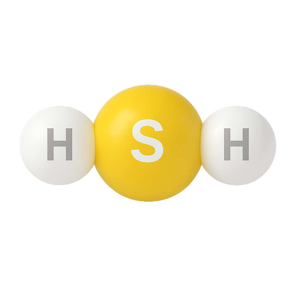H2S